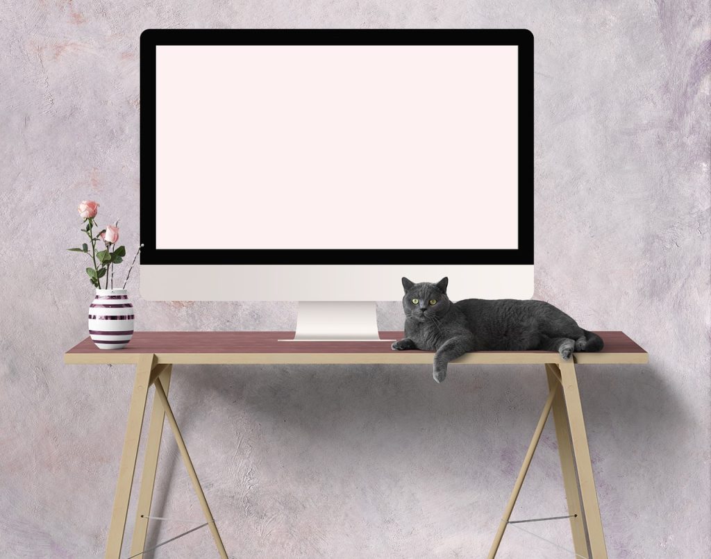 szkolenia zdalne online edu-zarecka